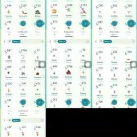 💥 【60 LV] 🔥 3.0M DUST |⚡️ 64倍 色違い |⚡️チームなし |