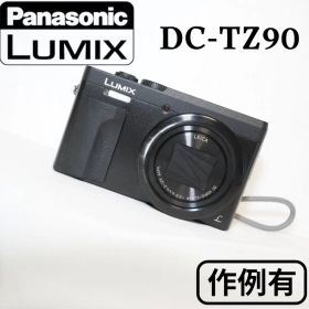 【美品】Panasonic LUMIX DC-TZ90／パナソニック 作例アリ