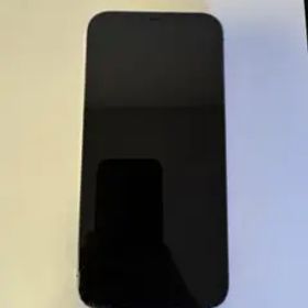 iPhone12 promax 本体