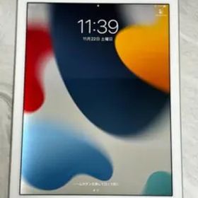 iPad Air 2 128GB Wi-Fi Cellular 充電器なし