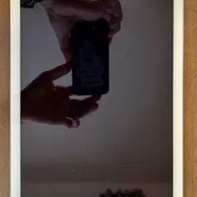 液晶焼け iPad Air2 A1566 シルバー Wi-Fiモデル128GB