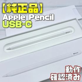 動作確認済み！【純正品】Apple Pencil USB-Cタイプ