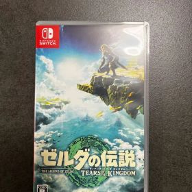 ゼルダの伝説 ティアーズ オブ ザ キングダム