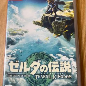 ゼルダの伝説 ティアーズ オブ ザ キングダム