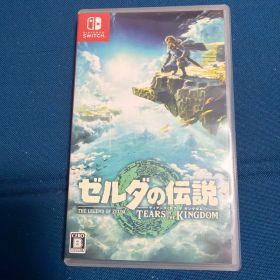 ゼルダの伝説 ティアーズ オブ ザ キングダム