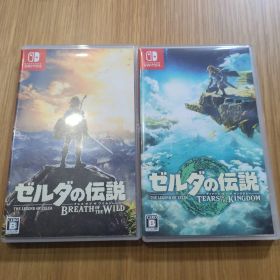 ゼルダの伝説 ブレス オブ ザ ワイルド & ティアーズ オブ ザ キングダム
