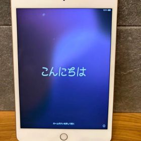 【美品】iPad mini 第5世代 256GB ゴールド Wi-Fi