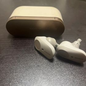 ソニー ワイヤレスノイズキャンセリングイヤホン WF-1000XM3