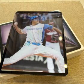 【極美品】iPad Air M3 13インチ Wi-Fiモデル 256Gグレイ