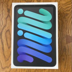 Apple iPad mini (第7世代) 256GB スペースグレー