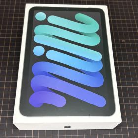 Apple iPad mini A17 Pro 512GB スペースグレイ 美品