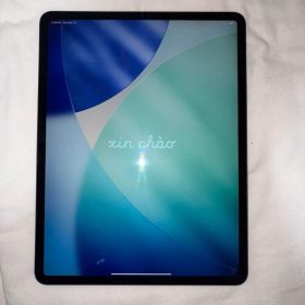 iPad Pro 12.9インチ（第四世代）Wi-Fiセルラーモデル