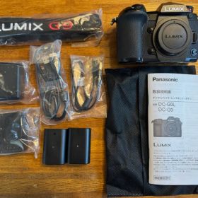 Panasonic LUMIX G9 Pro V-Log L 拡張済み