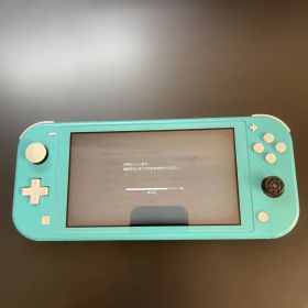 Switch light ターコイズ