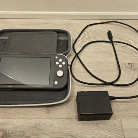 Nintendo Switch Lite グレー 充電器 ケース付き