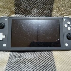 Nintendo Switch Lite グレー 本体