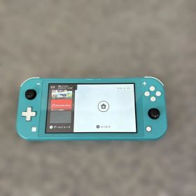 ニンテンドー Switchライト本体 ▪︎電源はOK ★ジャンク品
