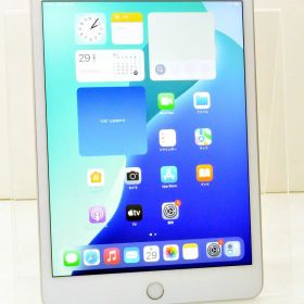 白ロム SIMフリー docomo SIMロック解除済 Apple iPad mini5 Wi-Fi+Cellular 64GB iPadOS18.6.2 シルバー MUX62J/A 初期化済 【m027885】【中古】【K20250829】