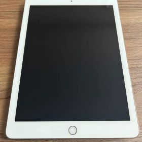 ゴールド iPad 第5世代 Wi-Fi 本体 32gb