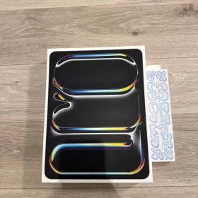 iPad Pro (M4) 256GB Wi-Fi 13インチ