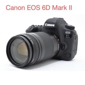 キヤノン(Canon)のCanon EOS 6D Mark II /Canon EF75-300mm(デジタル一眼)