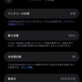 iPhone 15 Pro Max 本体SIMフリー