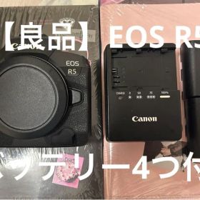 【良品】 CANON EOS R5