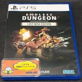 ENDLESS Dungeon Last Wish Edition
