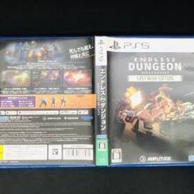 エンドレスダンジョン ラストウィッシュエディション 即売り！！ 良品