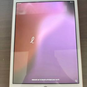 【⚠️端末極美品⚠️商品説明必読⚠️】iPad第7世代 ローズゴールド wifi専用