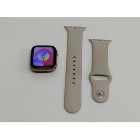 Apple Watch SE 第1世代/A2351〈MKQ03J/A〉 (その他)