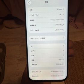 海外版 iPhone 16 Pro Max 256GB，バッテリーは100％