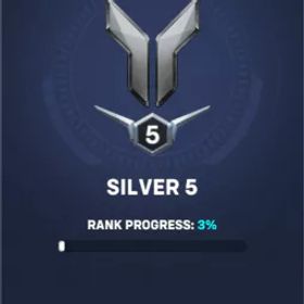 シルバー ダメージ