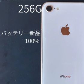iPhone8 256G