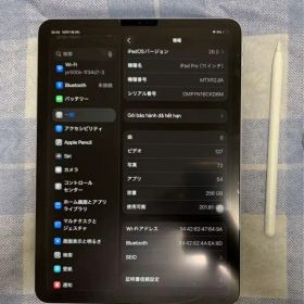 Ipad pro 2018 256Gb Wifi
