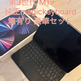 iPad pro 11インチ M1 magickeyboard付