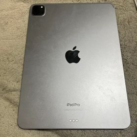 Apple iPad Pro シルバー 本体 11インチ 第4世代
