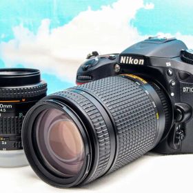 ニコン Nikon D7100⭐️ダブルレンズ⭐️スマホ転送可⭐️本格一眼レフ