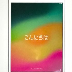 iPad Pro 10.5インチ 64GB Wi-Fi シルバー / 動作OK