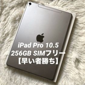 【完動品】iPad Pro 10.5 256GB SIMフリー【すぐ発送】