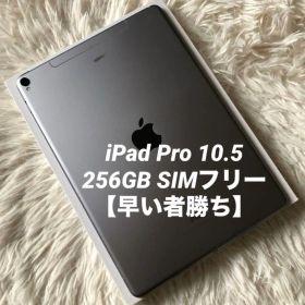 【完動品】iPad Pro 10.5 256GB SIMフリー 【すぐ発送】