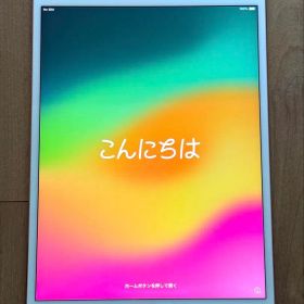 iPad Pro 10.5 256GB SIMフリー ローズゴールド