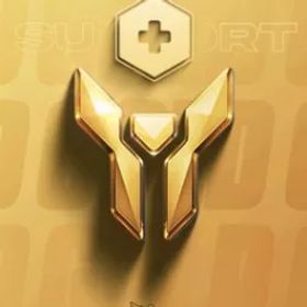 ゴールド 補足🎖️ |3日間保証 🛡️