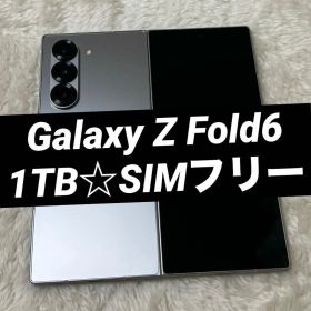 Galaxy Z Fold6 1TB シルバーシャドウ h66