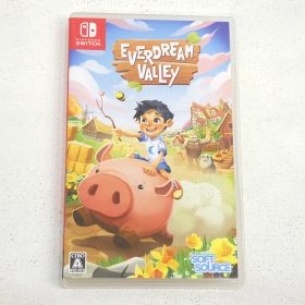 【小牧店】Switch EVERDREAM VALLEY エバードリームバレー ゲームソフト 【PI646-3983】