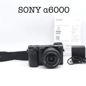 ■完動品 SONY α6000 ミレーレス一眼