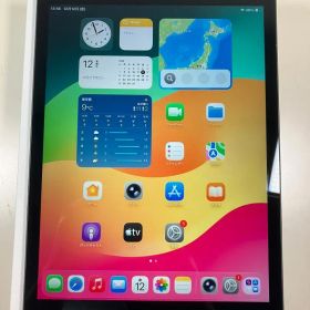 iPad 第9世代 64GB グレー セルラー 中古品 カバーガラス付