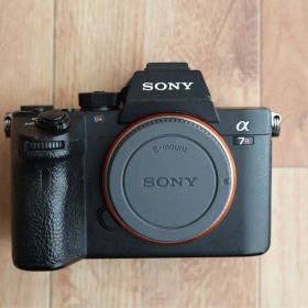 SONY α7RIII ILCE-7RM3 シャッター29414回