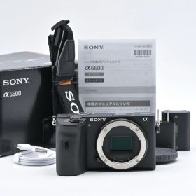 SONY ソニー α6600 ボディ ILCE-6600 ミラーレス一眼レフカメラ【中古】