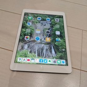 完全ジャンク品 A1474 iPad Apple MD790J/A